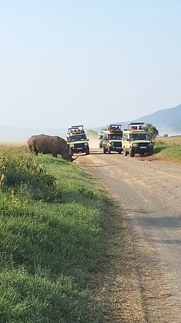 Safari Kenya